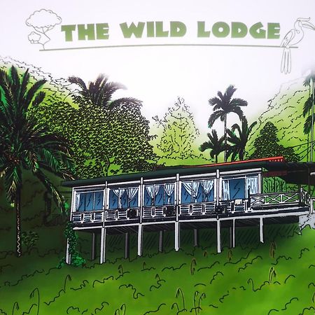 Wild Lodge Taman Negara Kuala Tahan Luaran gambar