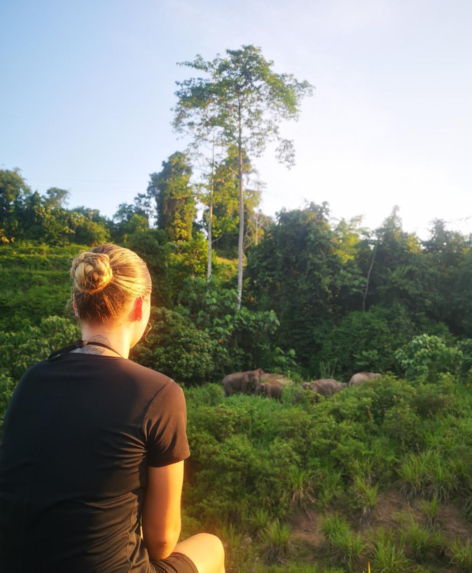 Wild Lodge Taman Negara Kuala Tahan Luaran gambar